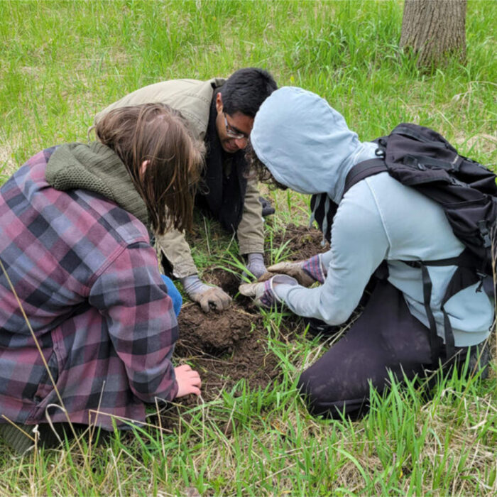 Sample images show site functionality and will be replaced with project photos in future phases.