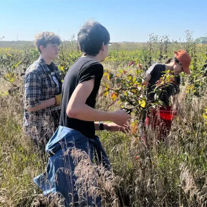 Sample images show site functionality and will be replaced with project photos in future phases.