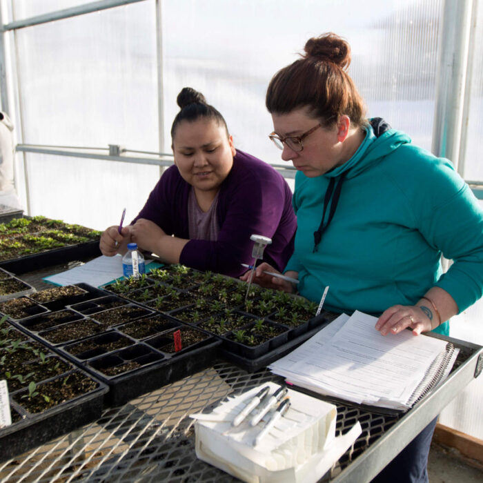 Sample images show site functionality and will be replaced with project photos in future phases.