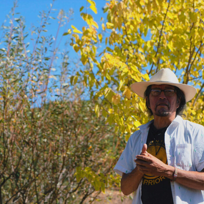 Sample images show site functionality and will be replaced with project photos in future phases.