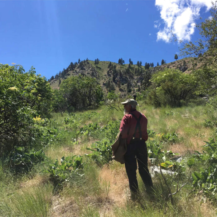 Sample images show site functionality and will be replaced with project photos in future phases.