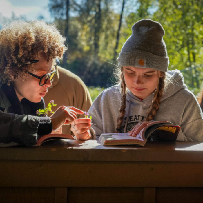 Sample images show site functionality and will be replaced with project photos in future phases.