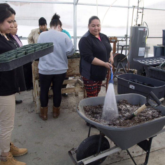 Sample images show site functionality and will be replaced with project photos in future phases.