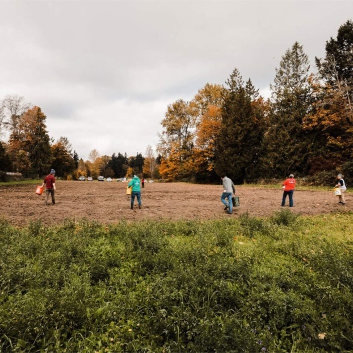 Sample images show site functionality and will be replaced with project photos in future phases.