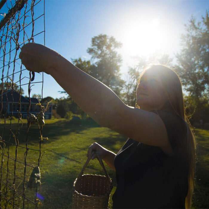 Sample images show site functionality and will be replaced with project photos in future phases.