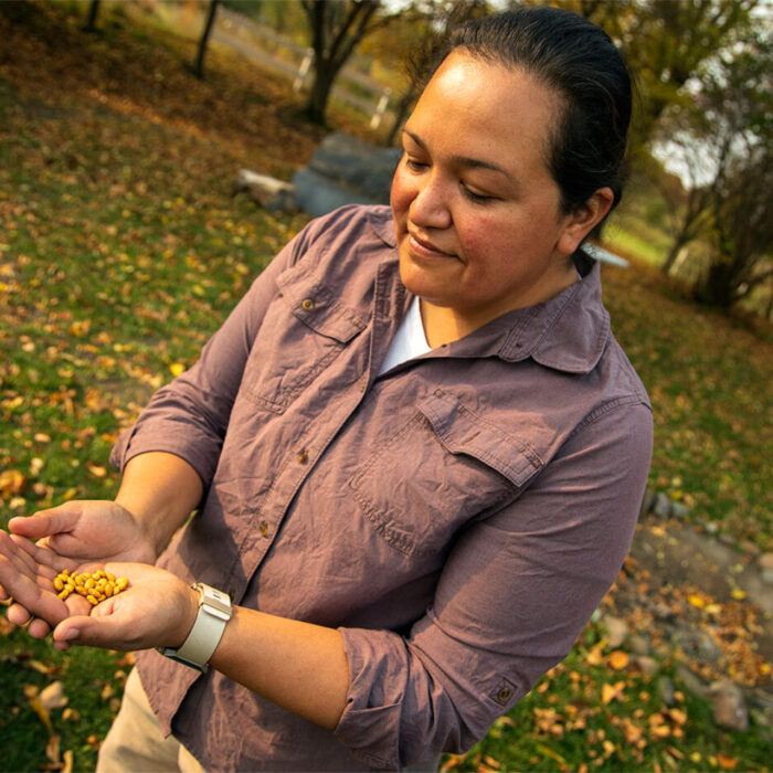 Sample images show site functionality and will be replaced with project photos in future phases.