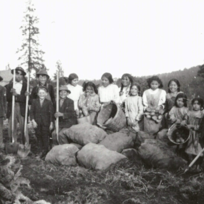 Sample images show site functionality and will be replaced with project photos in future phases.