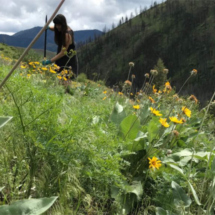 Sample images show site functionality and will be replaced with project photos in future phases.