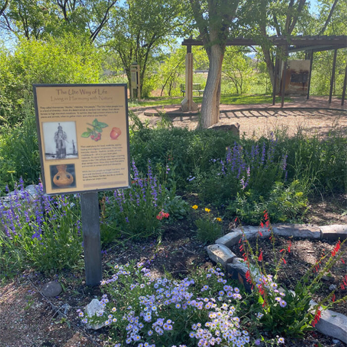 Sample images show site functionality and will be replaced with project photos in future phases.