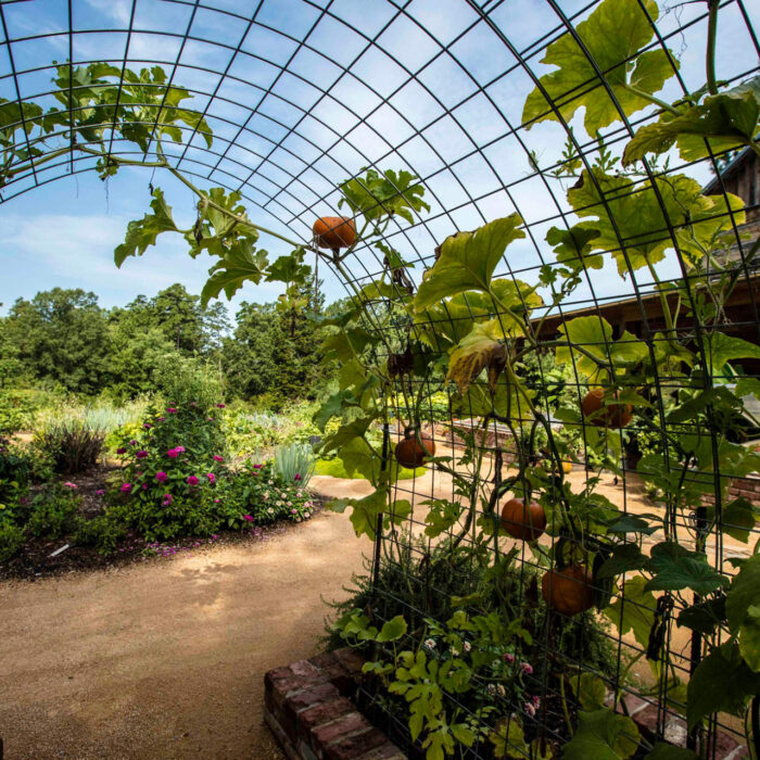 Sample images show site functionality and will be replaced with project photos in future phases.