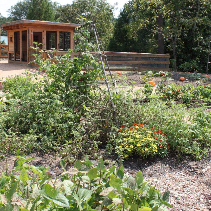 Sample images show site functionality and will be replaced with project photos in future phases.