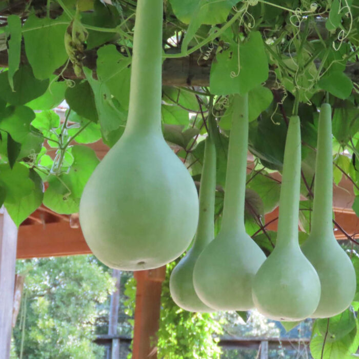 Sample images show site functionality and will be replaced with project photos in future phases.