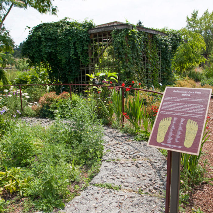 Sample images show site functionality and will be replaced with project photos in future phases.